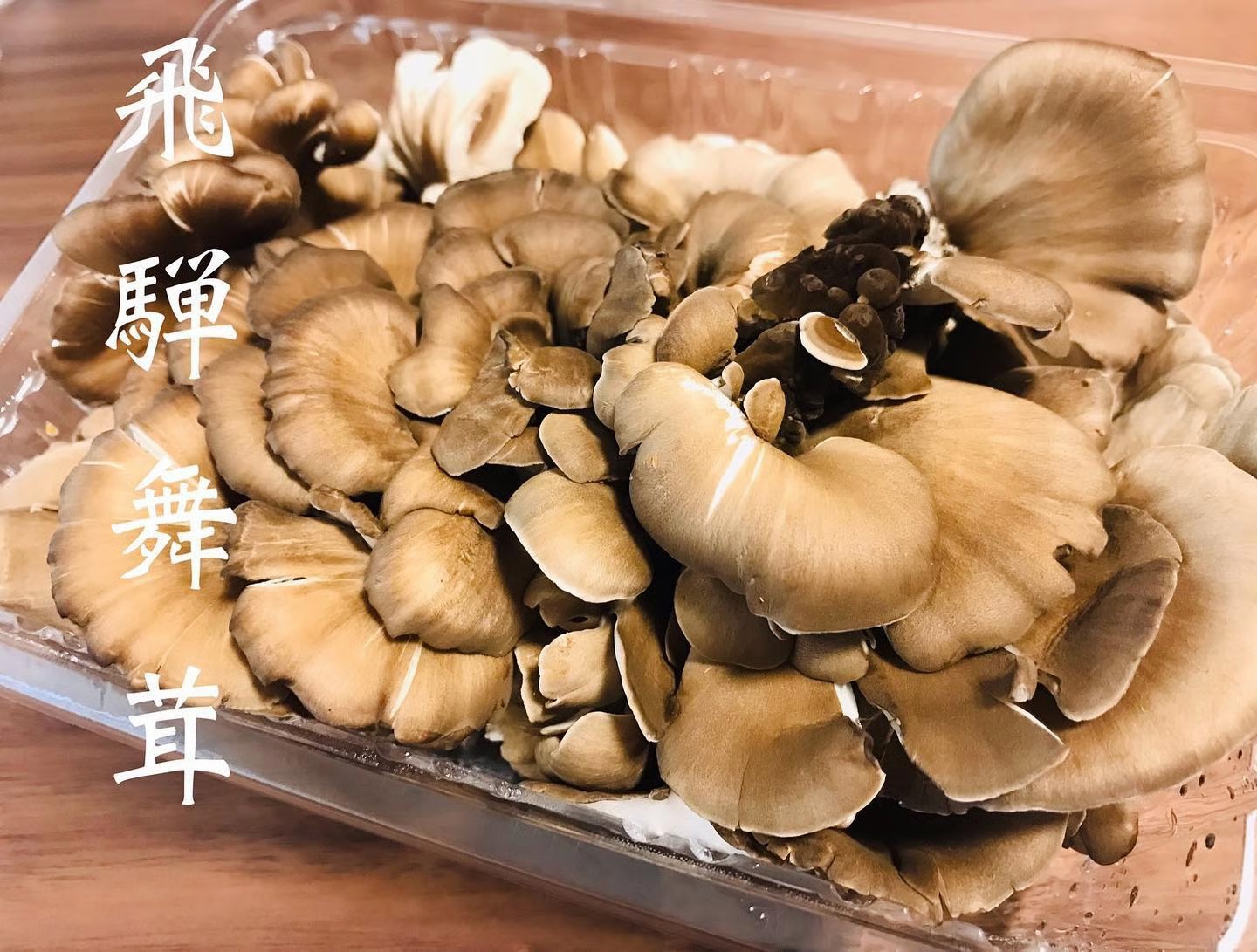 飛騨舞茸トップ画像